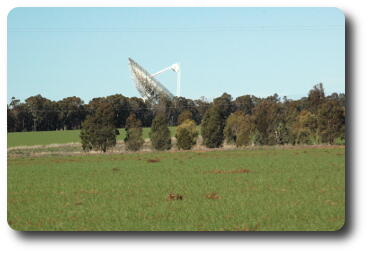 View of telescope from 1 km away - over tree tops