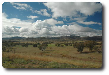 Green or brown pasture, trees and distant hills