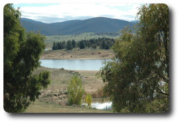 View between trees to lake and island with barren shores due to low water level