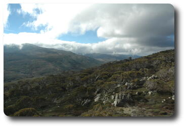Rocky terrain with some trees, many boulders
