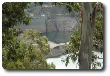 Dam wall visible through trees