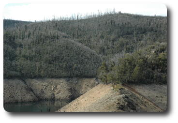 Ridge on north bank of dam