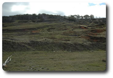 Photo of hillside showing diggings