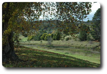 View across river to fields and trees on other side