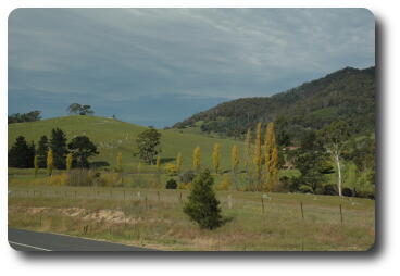 Rural scene, mountain, poplars, homestead