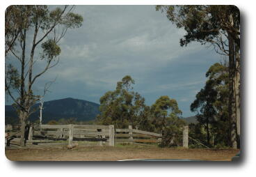Mountain with stockyard fences in foreground