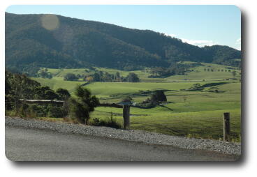 Green pastures in front of tree covered mountains