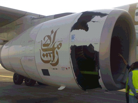 Bird strike on plane