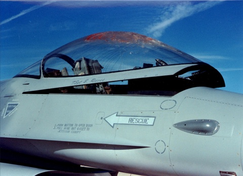 Bird strike on plane