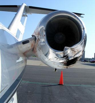 Bird strike on plane