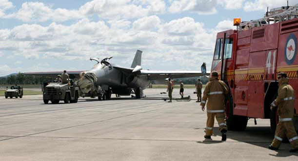 Bird strike on plane