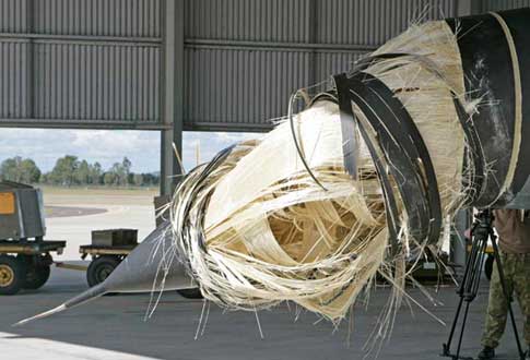 Bird strike on plane