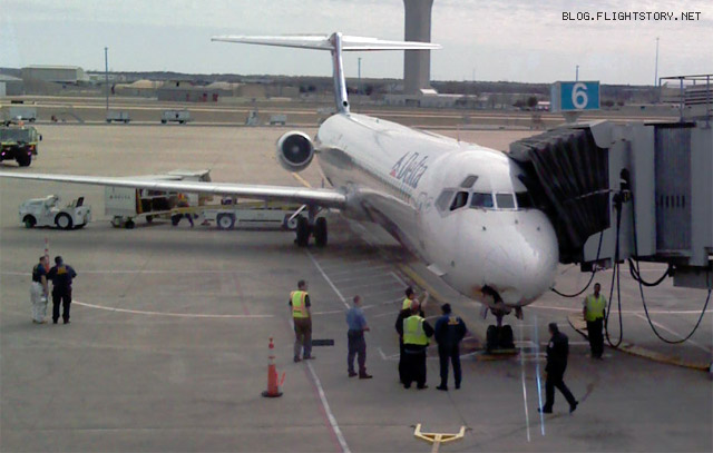 Bird strike on plane