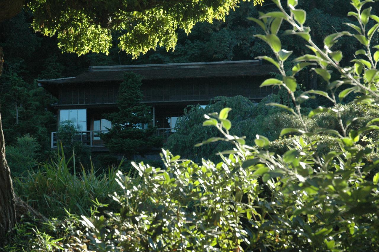 Upper House, as seen through tree and across Koi Pond, Hakone Gardens