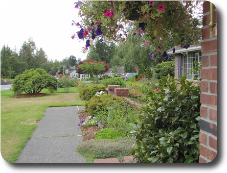 View down front street from front of garage