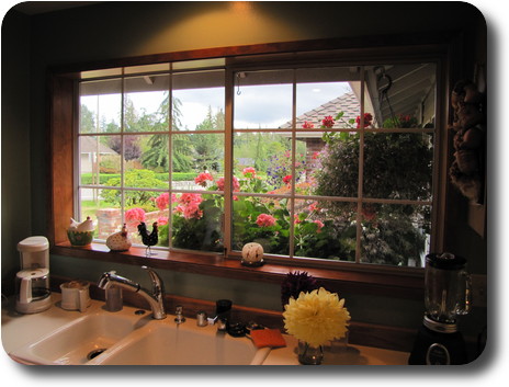 View out Judy's kitchen window over front garden