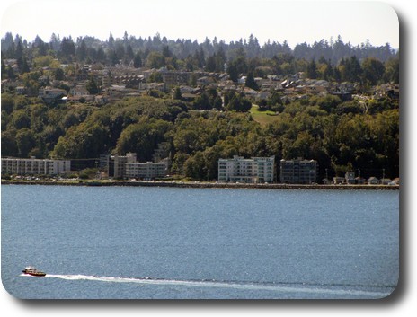 Alki viewing area from Queen Anne - tree covered hill and grassy area