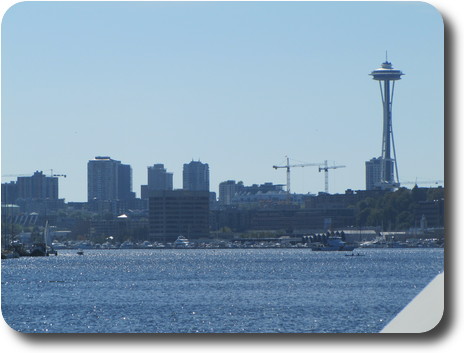 Space Needle and construction cranes