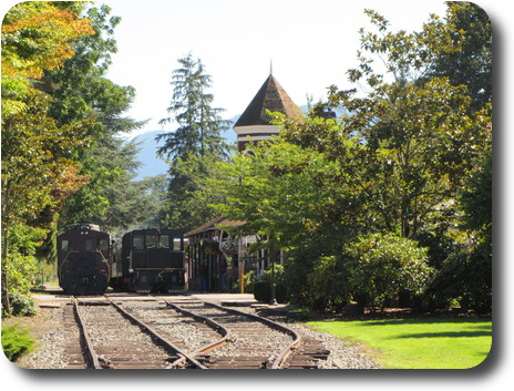 Railway depot amidst foliage, with trains parked beside it