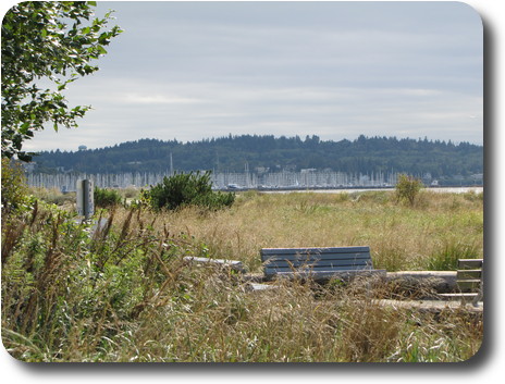 Distant marina with tree covered hill behind