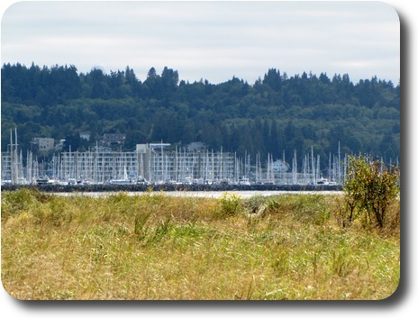 Closer view of distant marina with tree covered hill behind