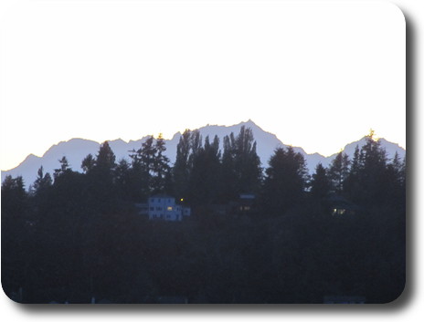Distant mountains behind trees on ridge across Lake Washington
