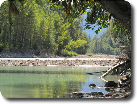 Rocky river bed, little water flow and colourful trees on the banks