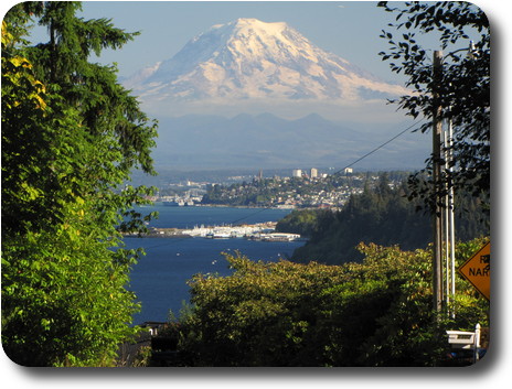 Distant mountain, framed by trees