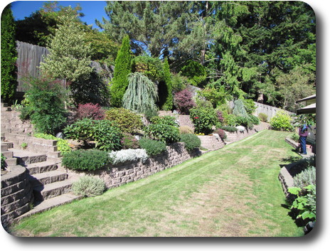 Garden rising to back fence