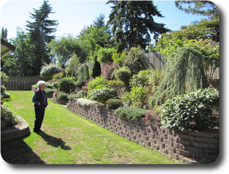 Garden rising to back fence