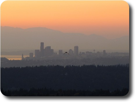 Seattle skyline against an orange sky
