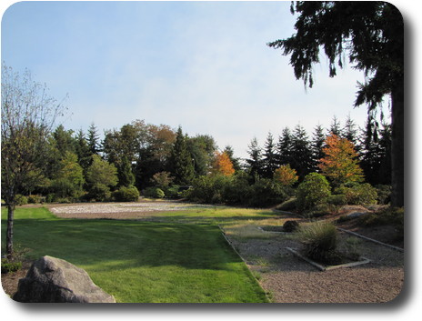 Lawn leading towards trees, some showing Autumn colours