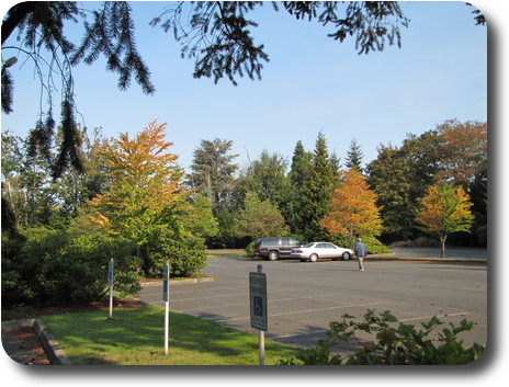 Car park area with trees changing colours spread around.