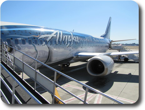 Alaska 737 on tarmac at San Jose, fish painted on side