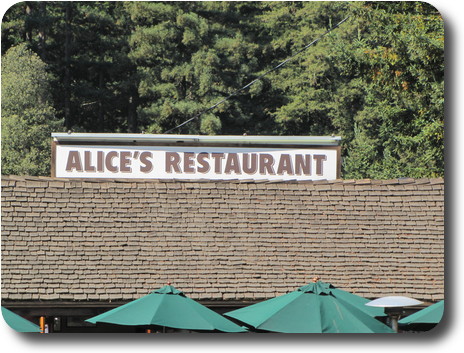 Wood shake roof, umbrellas and forest behind
