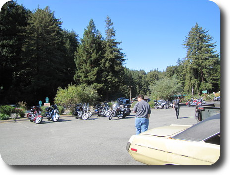 Parking lot in front of convenience store