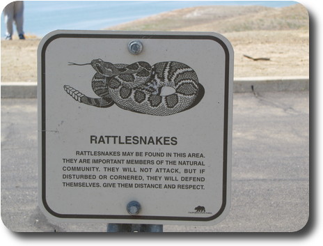 Sign warning of rattlesnakes