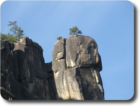 Two trees growing atop a rocky pillar on the edge of a cliff