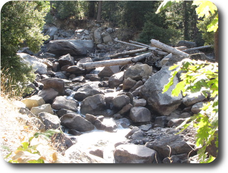 Rocky stream bed with a trickle of water and logs caught among the rocks