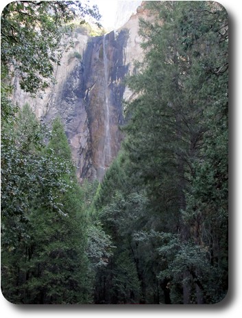 Tall, thin waterfall seen between trees