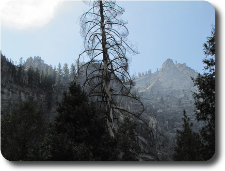 Dead tree in foreground, with hazy air, partly illuminated by sunlight to distant oeaks