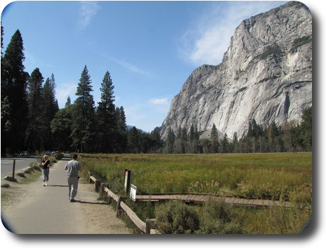 Meadow and trees on the left, sheer cliff on the right