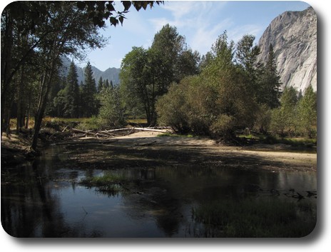 Quite river below trees, reflecting nearby trees, with gray cliffs behind