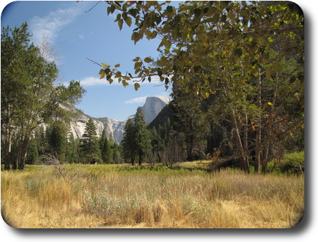 Meadow, with some trees leading to a narrowing valley with cliffs