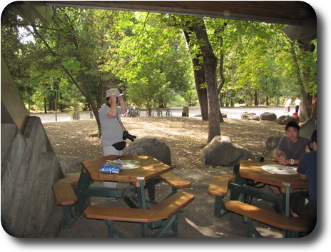Wooden tables under shelter amidst trees