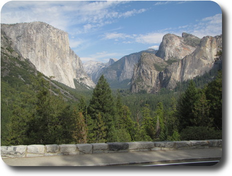 Tree covered valley floor between gray rock cliffs into the distance