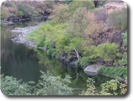 Quiet river reflecting very green vegetation