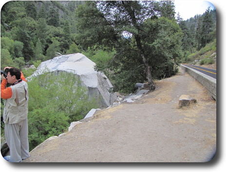 Man taking photo, large boulder in stream behind