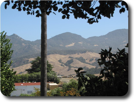 Distant hills seen through a garden at the rear of Casa Grande