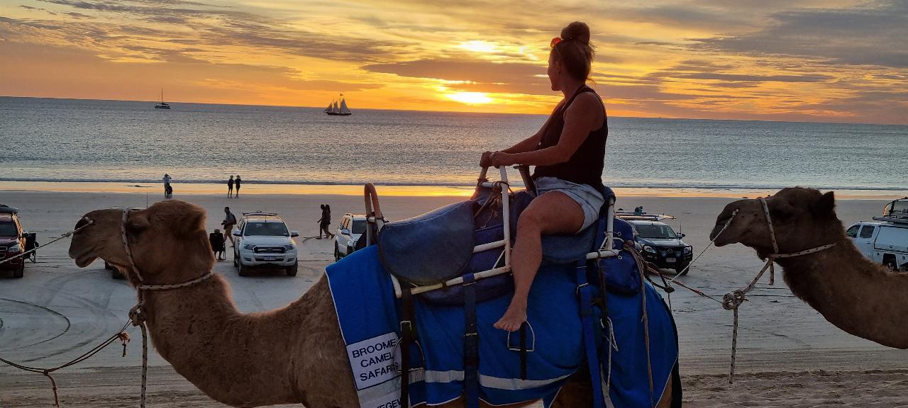 SJR21.d17: the camels pass, sailing boat, water, sun setting - II